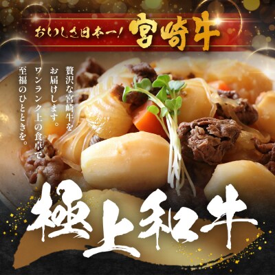 宮崎牛 バラ切り落とし 計1.2㎏(約200g×6P)