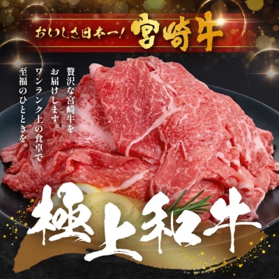 宮崎牛 赤身モモウデ切り落とし セット 計800g(約400g×2P)