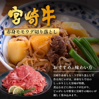 宮崎牛 赤身モモウデ切り落とし セット 計800g(約400g×2P)