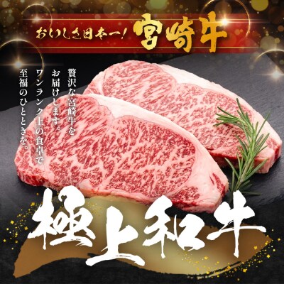 宮崎牛 ロースステーキ 計400g(約200g×2P)