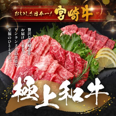宮崎牛 モモ 焼肉用 計600g(約300g×2P)