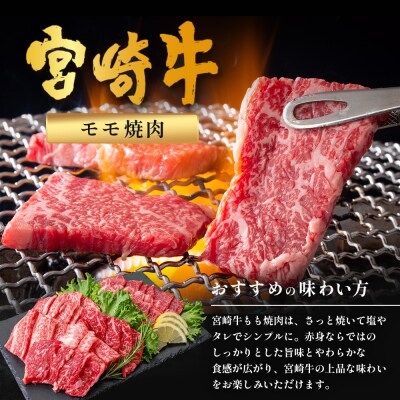 宮崎牛 モモ 焼肉用 計600g(約300g×2P)