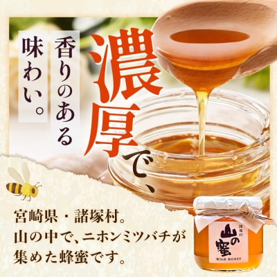 はちみつ 山の蜜 200g×1本