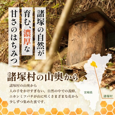はちみつ 山の蜜 200g×1本
