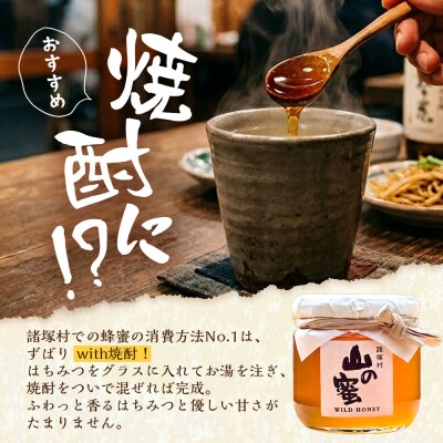 はちみつ 山の蜜 200g×1本