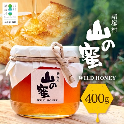 はちみつ 山の蜜 400g×1本