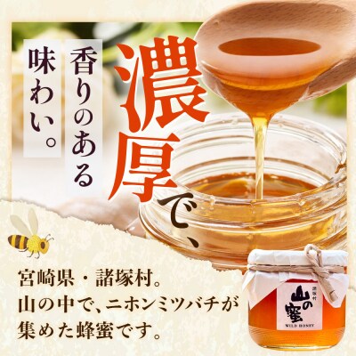 はちみつ 山の蜜 400g×1本