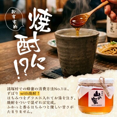 はちみつ 山の蜜 400g×1本