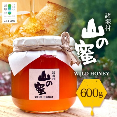 はちみつ 山の蜜 600g×1本