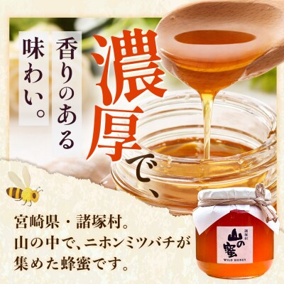 はちみつ 山の蜜 600g×1本