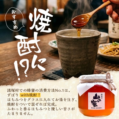 はちみつ 山の蜜 600g×1本