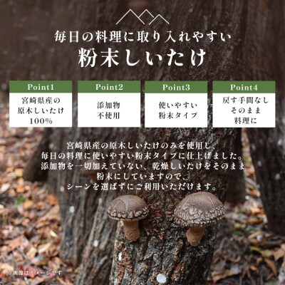 宮崎県産 粉末 しいたけ 40g×6P 計240g