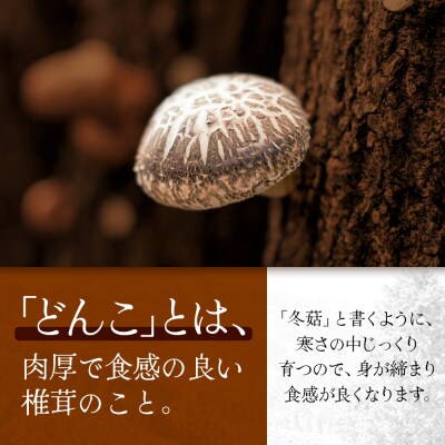 【化粧箱入】乾しいたけ どんこ 90g 宮崎県諸塚村産 乾燥椎茸 しいたけ