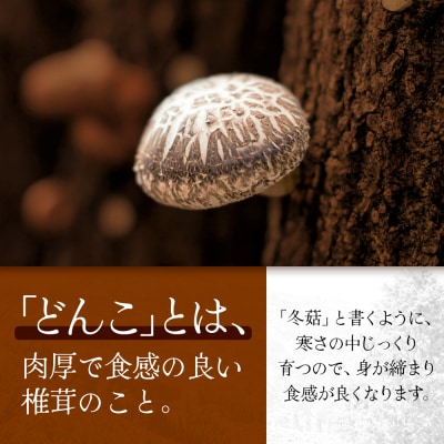 【化粧箱入】乾しいたけ どんこ 200g 宮崎県諸塚村産 乾燥椎茸 しいたけ