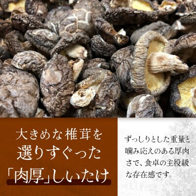 【家庭用】乾しいたけ 肉厚 60g×6P 宮崎県諸塚村産 乾燥椎茸 しいたけ