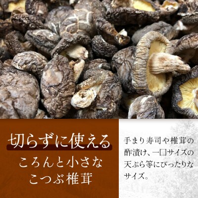【家庭用】宮崎県諸塚村産 乾しいたけ こつぶ 40g×6P