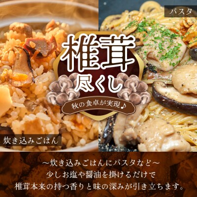 【家庭用】宮崎県諸塚村産 乾しいたけ スライス 20g×6P