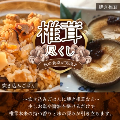 【化粧箱入り】宮崎県諸塚村産 天白どんこ 約300g