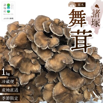 【先行予約】宮崎県諸塚村産 原木舞茸 1kg 数量限定[2026年10月下旬～11月中旬ごろお届け]