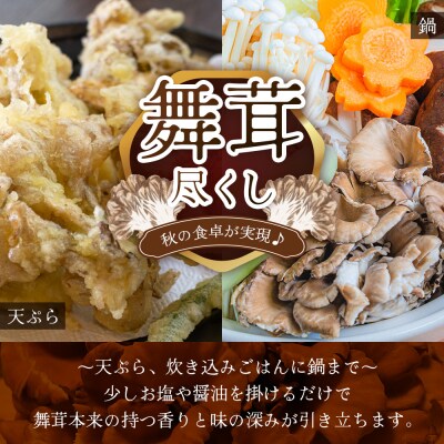 【先行予約】宮崎県諸塚村産 原木舞茸 1kg 数量限定[2026年10月下旬～11月中旬ごろお届け]