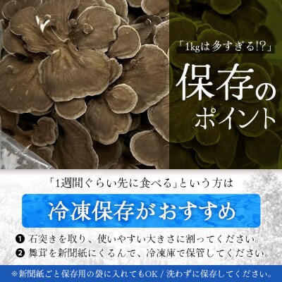 【先行予約】宮崎県諸塚村産 原木舞茸 1kg 数量限定[2026年10月下旬～11月中旬ごろお届け]