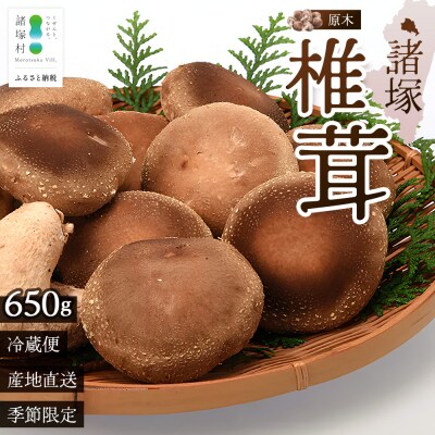 【先行予約】宮崎県諸塚村産 原木生椎茸 約650g[2026年9月～11月ごろお届け]