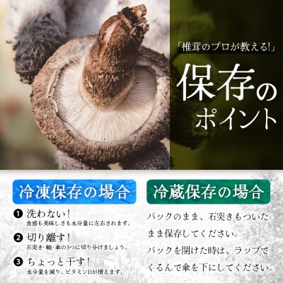 【先行予約】宮崎県諸塚村産 原木生椎茸 約650g[2026年9月～11月ごろお届け]