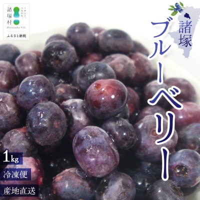 【数量限定】諸塚村産 冷凍ブルーベリー 約1kg