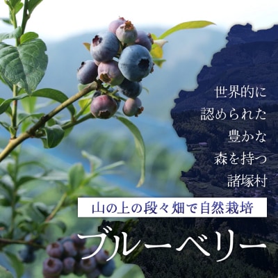 【数量限定】諸塚村産 冷凍ブルーベリー 約1kg