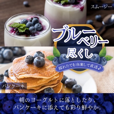 【数量限定】諸塚村産 冷凍ブルーベリー 約1kg