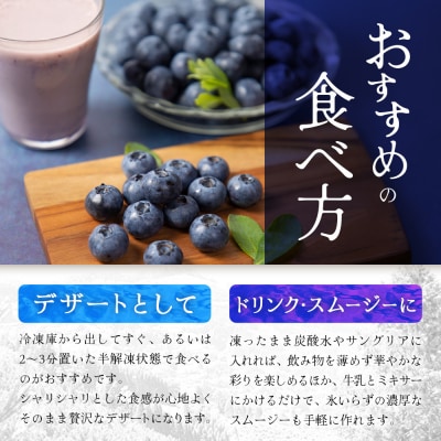【数量限定】諸塚村産 冷凍ブルーベリー 約1kg