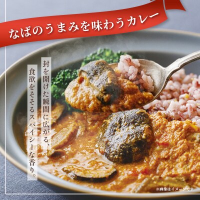 NABA バターチキンカレー 4食 セット