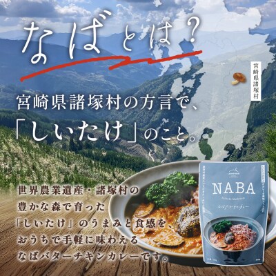 NABA バターチキンカレー 4食 セット