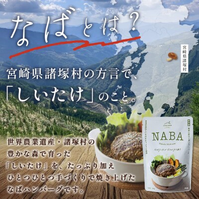 NABA ハンバーグアンチョビソース掛け 4食 セット