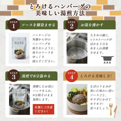 NABA ハンバーグアンチョビソース掛け 4食 セット