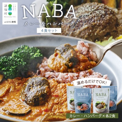 NABAカレー  バターチキンカレー&ハンバーグアンチョビソース掛け セット 2種各2食 計4食