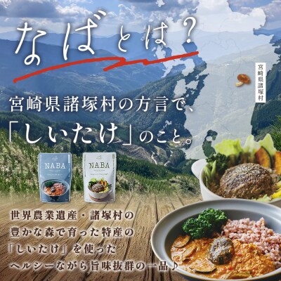 NABAカレー  バターチキンカレー&ハンバーグアンチョビソース掛け セット 2種各2食 計4食