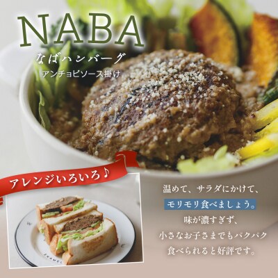 NABAカレー  バターチキンカレー&ハンバーグアンチョビソース掛け セット 2種各2食 計4食