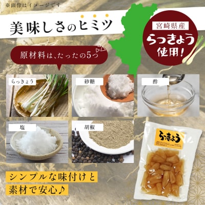 箸がとまらんおいしさ! らっきょう漬け 150g×4P