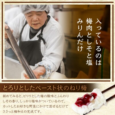 ご飯のお供や熱中症対策に!ねり梅 120g×3P