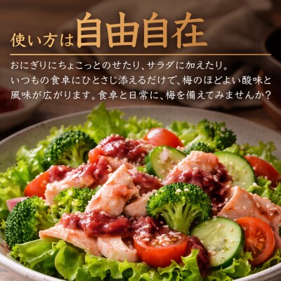 ご飯のお供や熱中症対策に!ねり梅 120g×3P