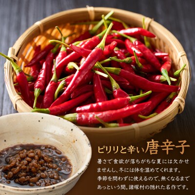 和風調味料 唐辛子もろみ 130g×3本
