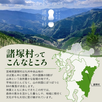 【宮崎県諸塚村】返礼品なしの寄付(1口:10,000円)