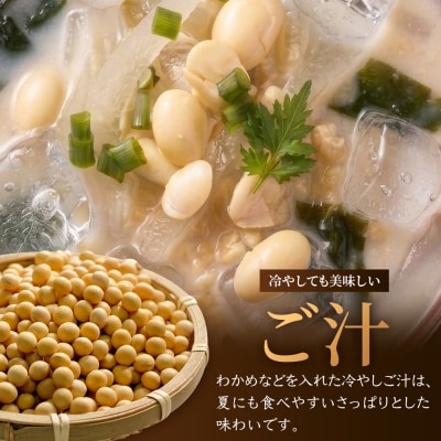 ご汁の素 100g×5P