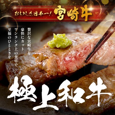 宮崎牛 ロースステーキ 約500g×1P(2枚入)