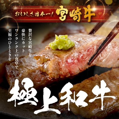 宮崎牛 ロースステーキ 約500g×2P 計1kg(4枚入)
