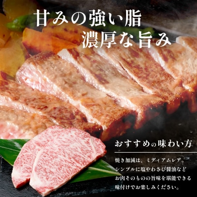 宮崎牛 ロースステーキ 約500g×2P 計1kg(4枚入)