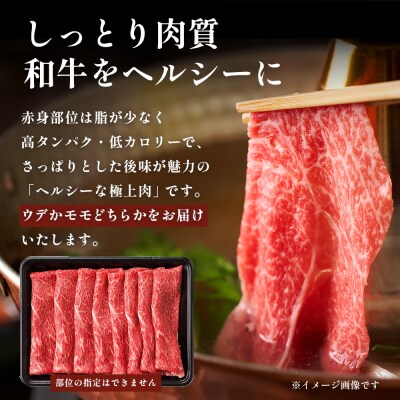 宮崎牛 赤身スライス 約500g×1P