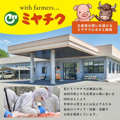 宮崎牛 赤身スライス 約500g×1P