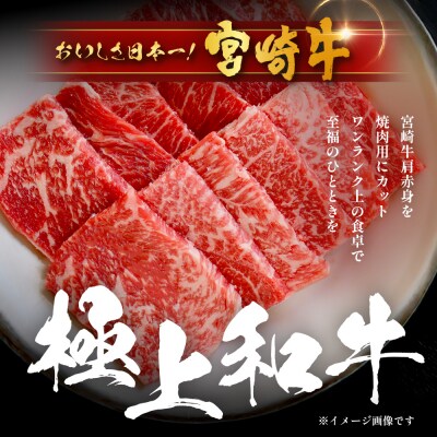 宮崎牛 赤身 焼肉用 約500g×1P